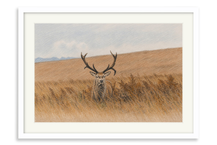 White Frame A5 - 14.8 x21 cm  (+£100.00)